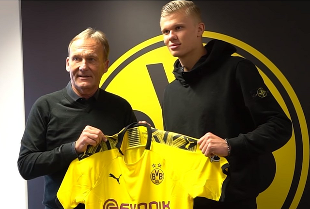 博彩行为的 博彩行为的